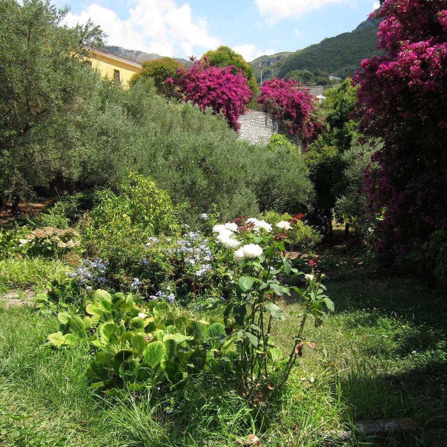 Casa Puccini B&B Maratea Exterior photo